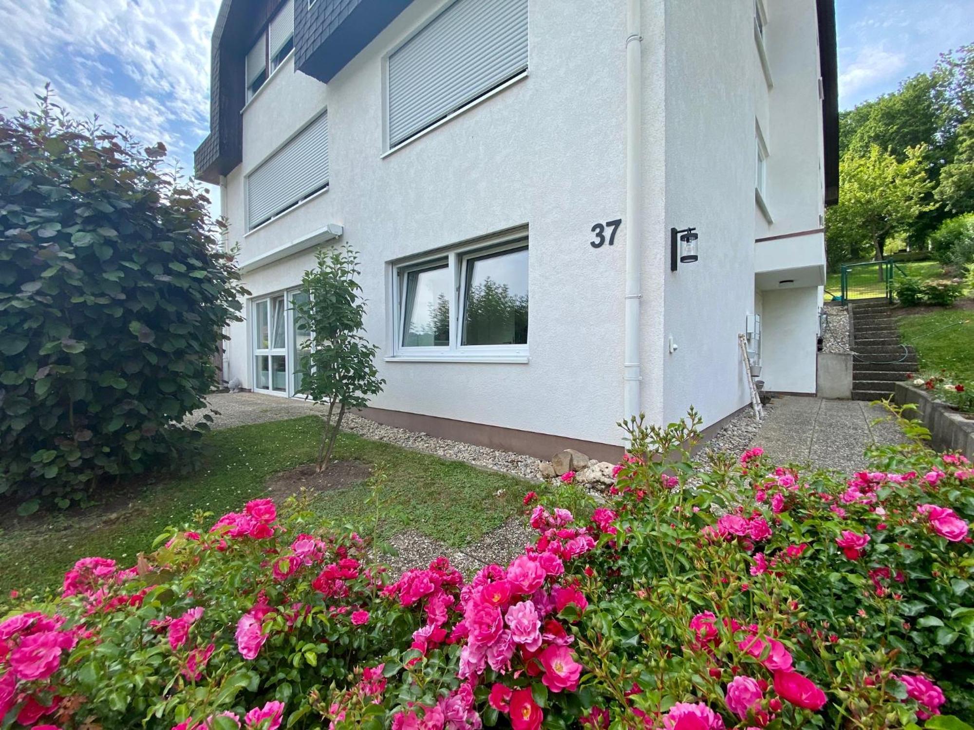 Neu: Ferienwohnung Zum Nussbaum - Landhausstil & Moseltalblick トラーベン・トラールバッハ エクステリア 写真